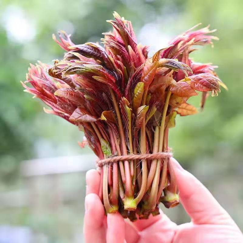 香椿酱(香辣味)