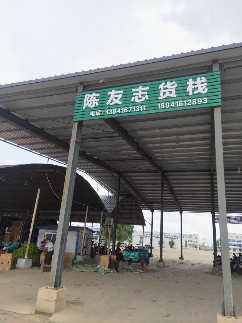 蔬菜甜椒。大量上市中质量好