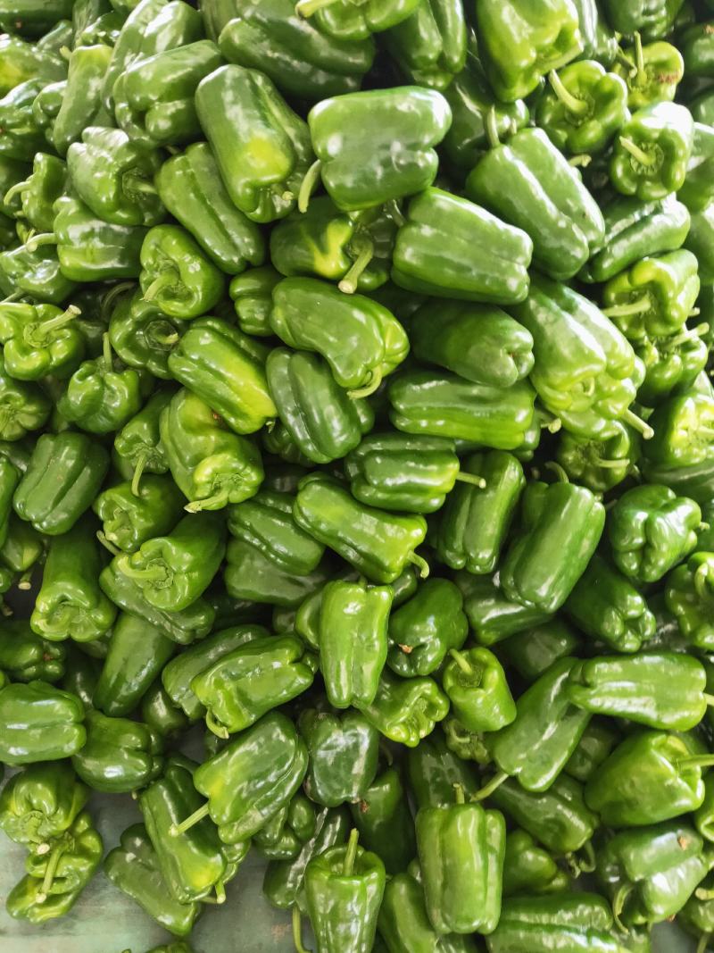 蔬菜甜椒。大量上市中质量好