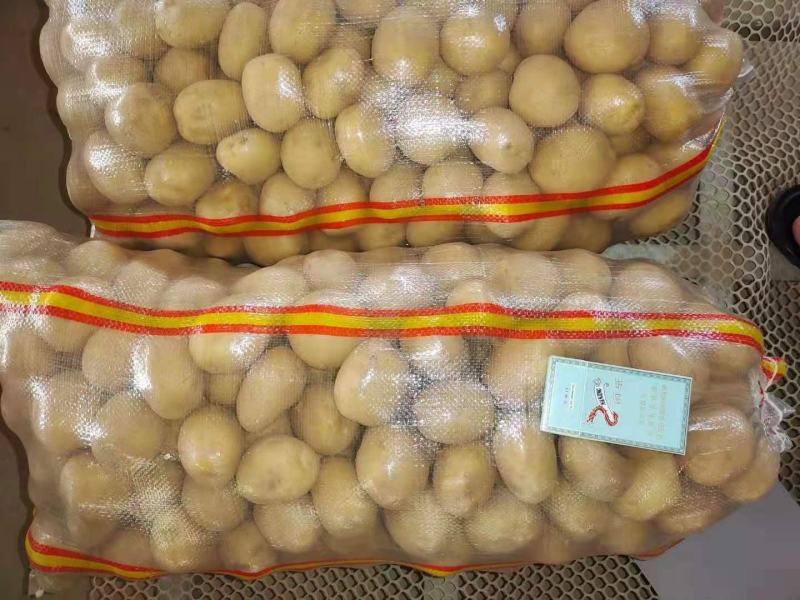 8钱—1.2两精品小土豆，黄皮黄心