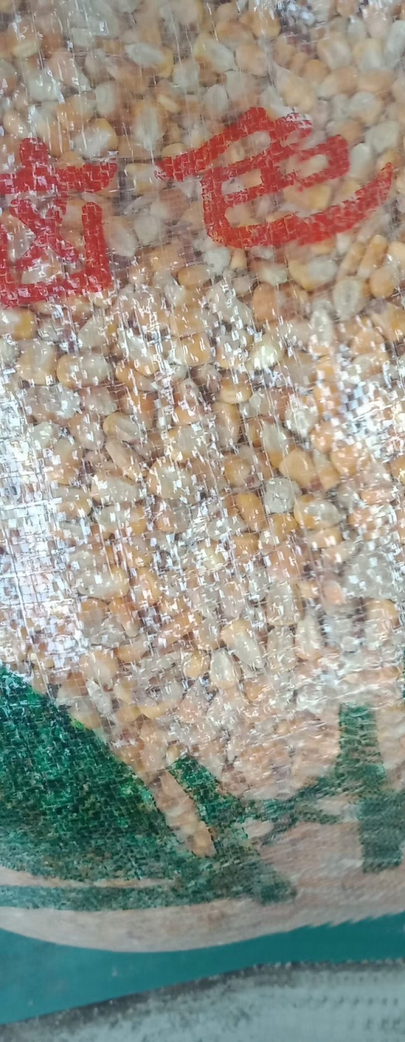 玉米粒