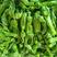 山东费县芜湖青椒，产地直销，螺丝椒，301品种多，质量优