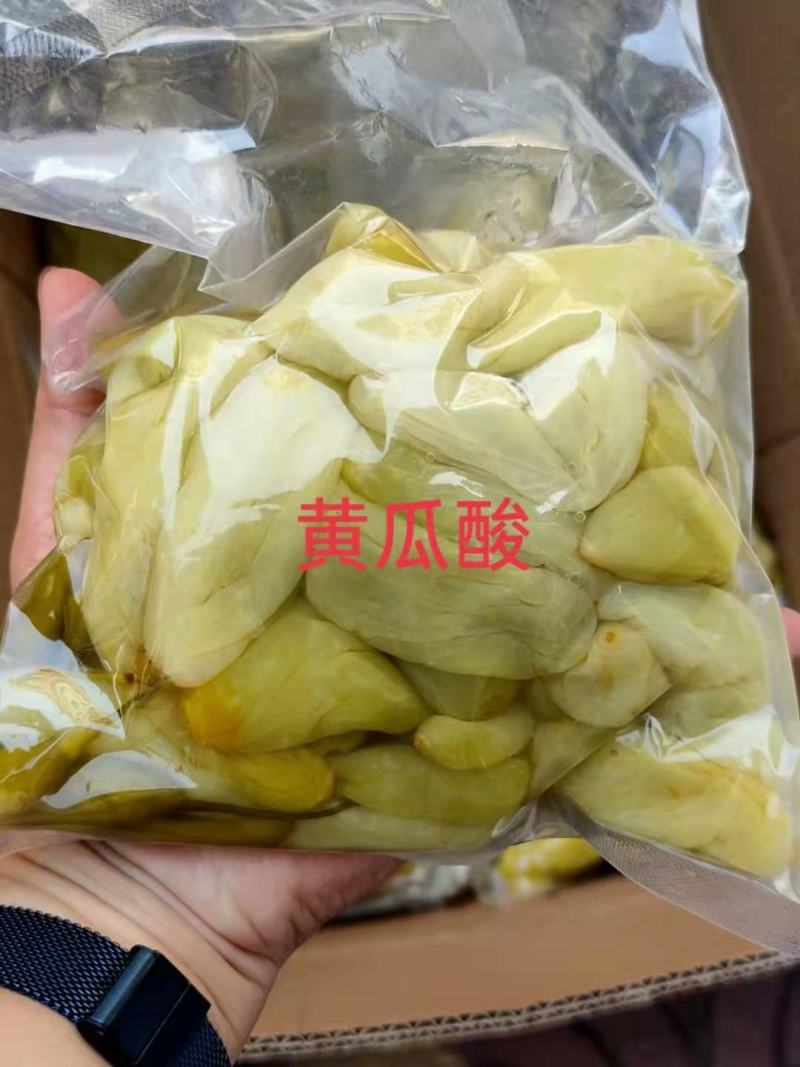 腌黄瓜徳庆新鲜干压榨黄瓜，黄瓜榨酸品新鲜采摘黄瓜