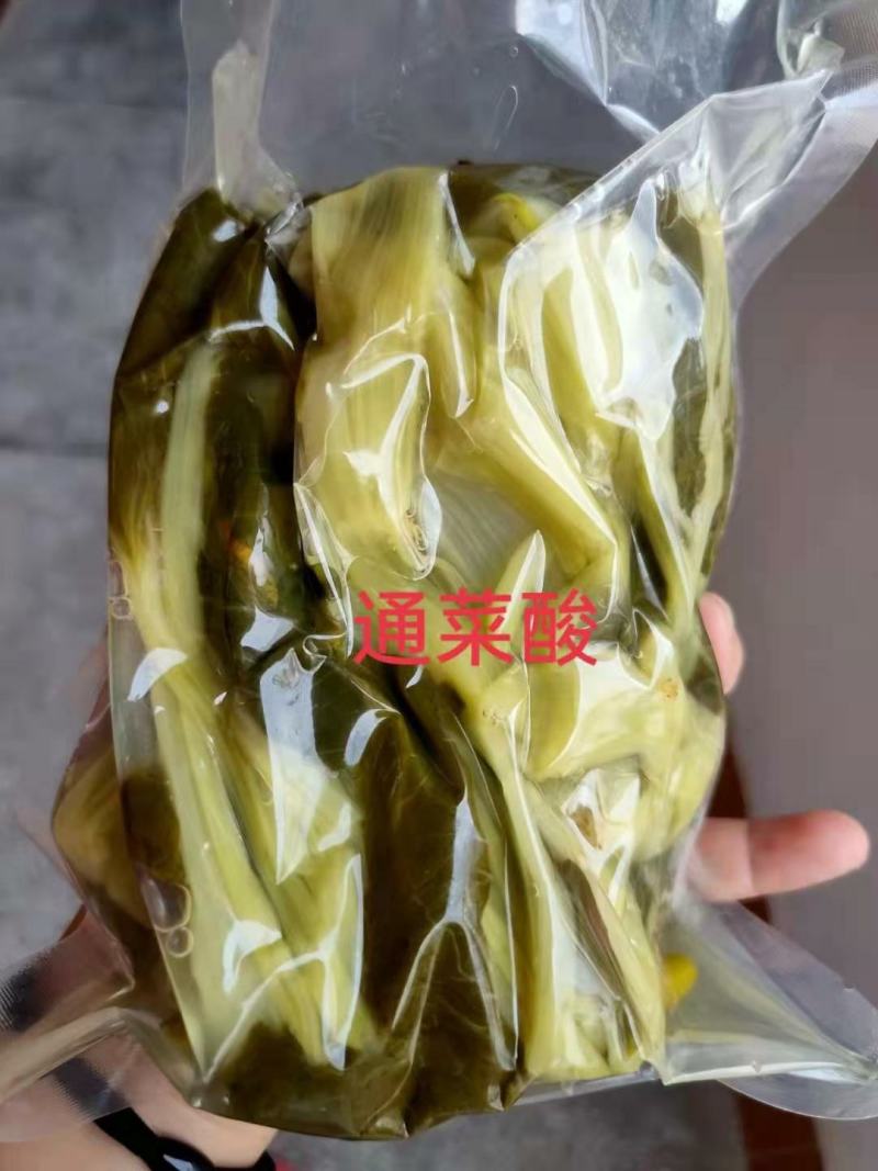 腌黄瓜徳庆新鲜干压榨黄瓜，黄瓜榨酸品新鲜采摘黄瓜
