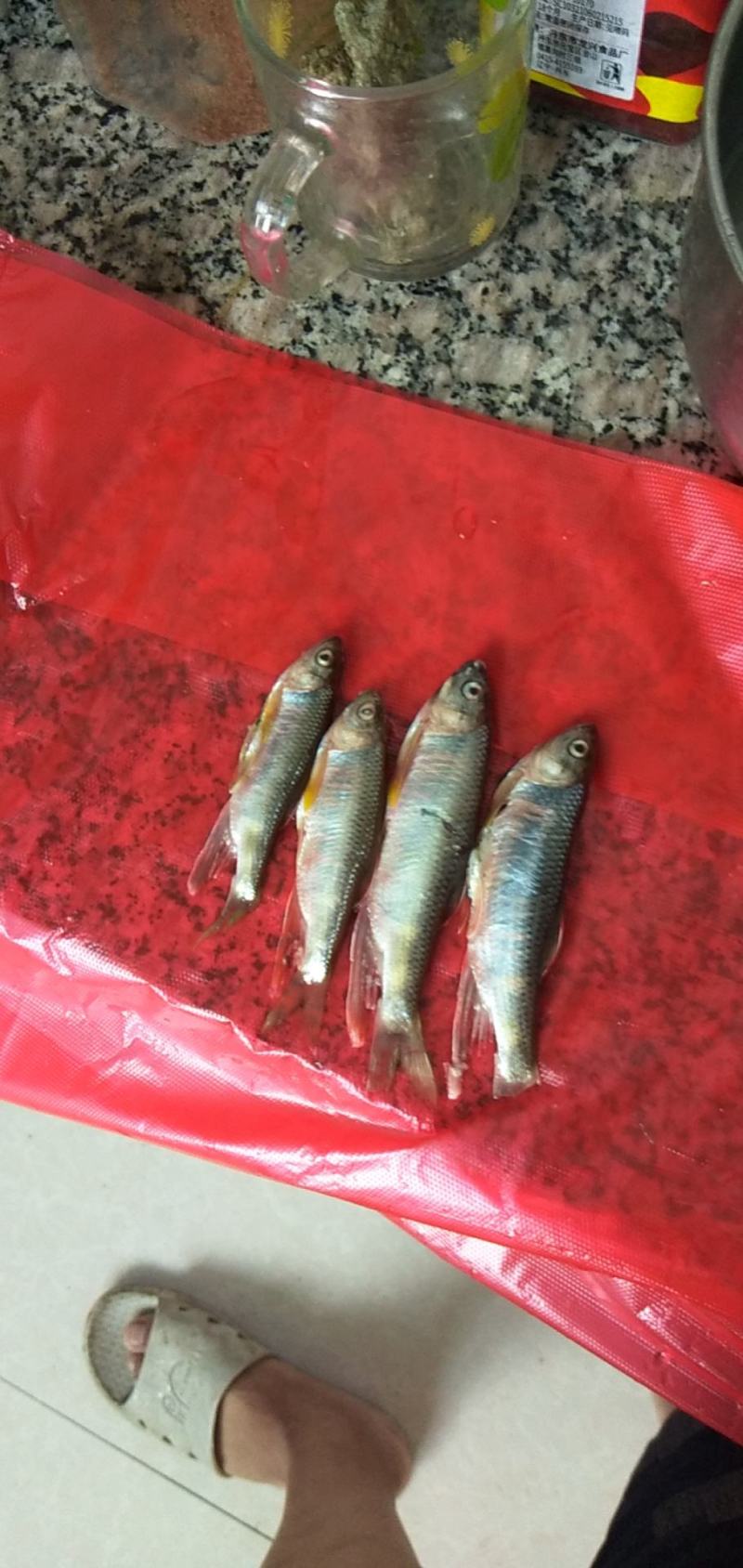 水产