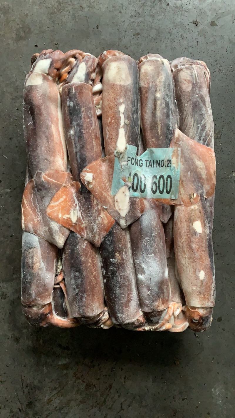 阿根廷鱿鱼批发水产海鲜批发