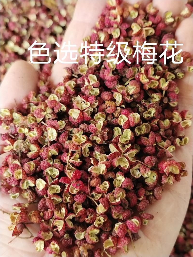 23年陕西韩城新货梅花椒色选大红袍花椒净度高量大从优