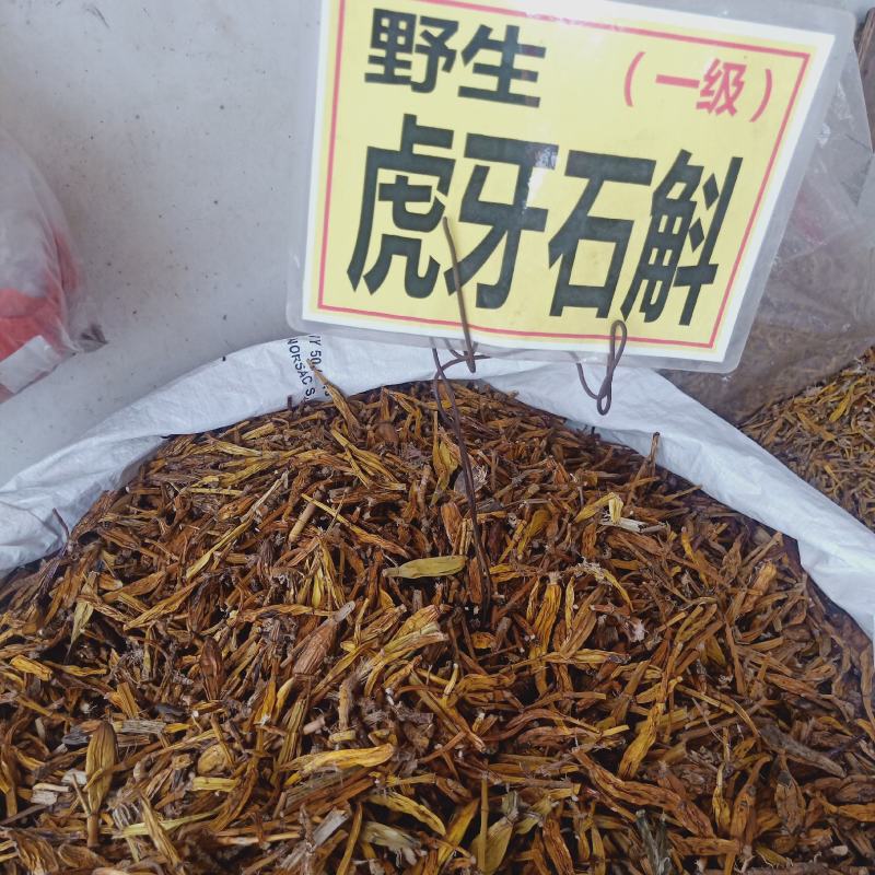 野生虎牙石斛有大量貨源充足