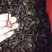 中药材新货清水蝎子干全虫清水全蝎干蝎子盐水蝎子药用食用