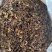 中药材新货清水蝎子干全虫清水全蝎干蝎子盐水蝎子药用食用