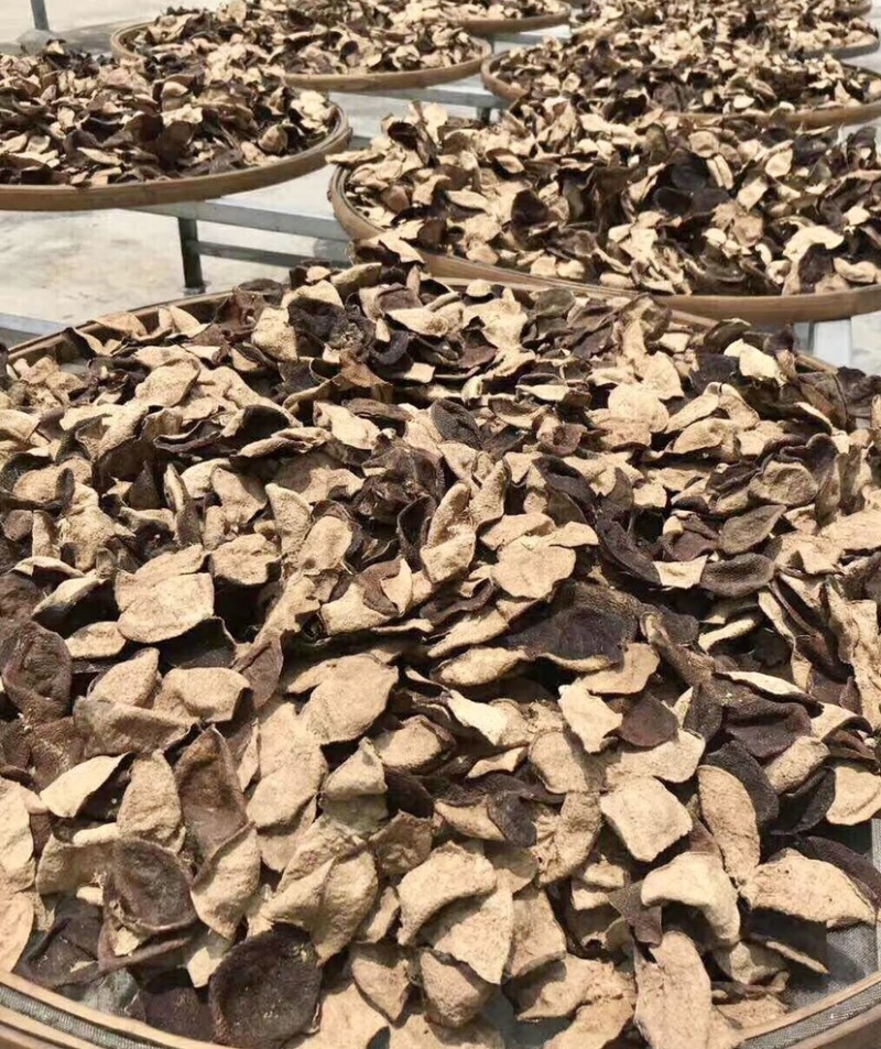 新会天马陈皮