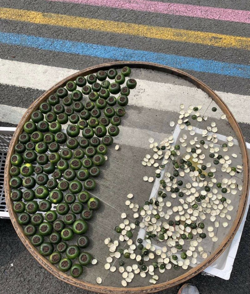 新会天马陈皮