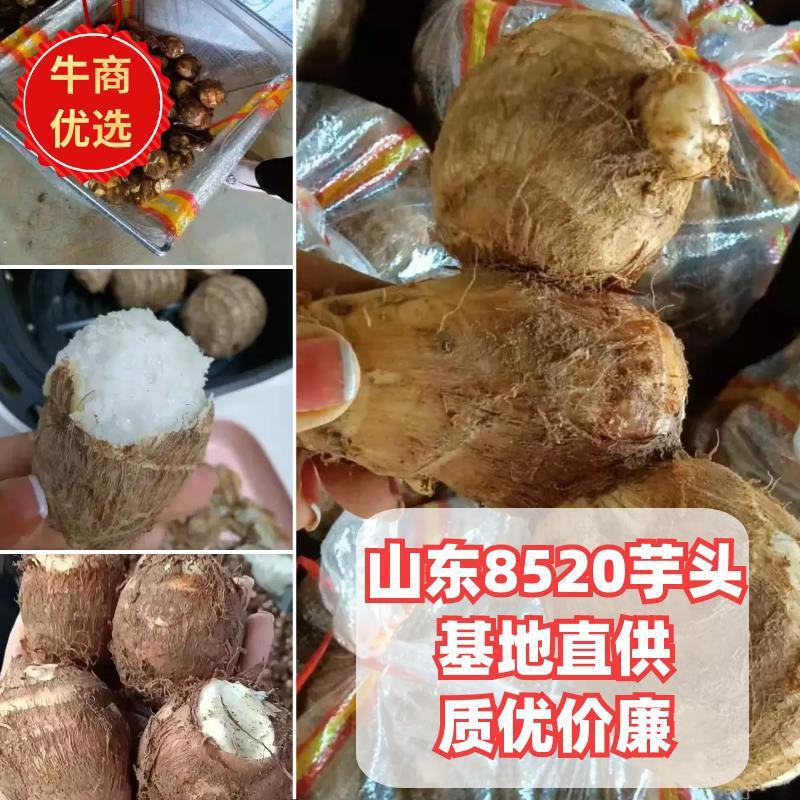 推荐】精品毛芋头，产地一手货源，价格实惠，坏烂包赔