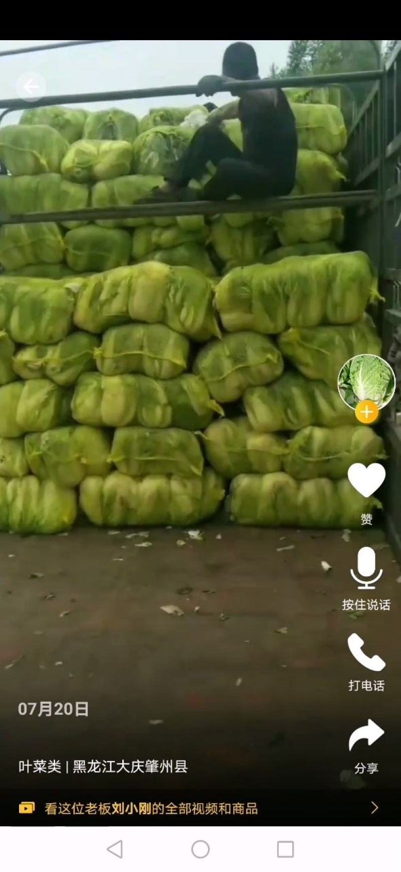 黄心大白菜