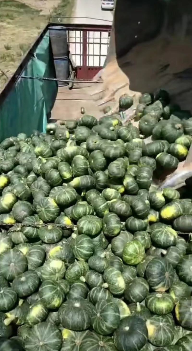 陕西榆林定边板栗南瓜大量供应产地直发一手货源干面甜糯
