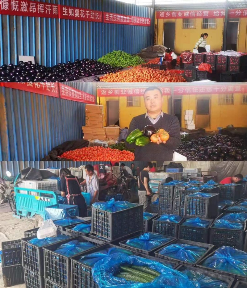 山东硬粉西红柿大红多种果蔬可以配车对接商超平台，各种包装