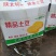 定边陇七