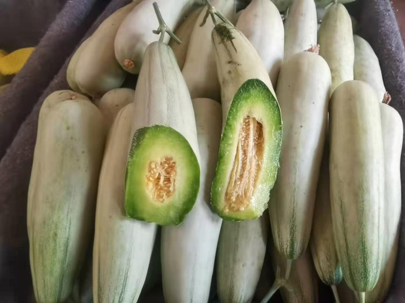 博洋61羊角甜瓜，皮薄肉厚甘甜可口，全国发货对接各地客商