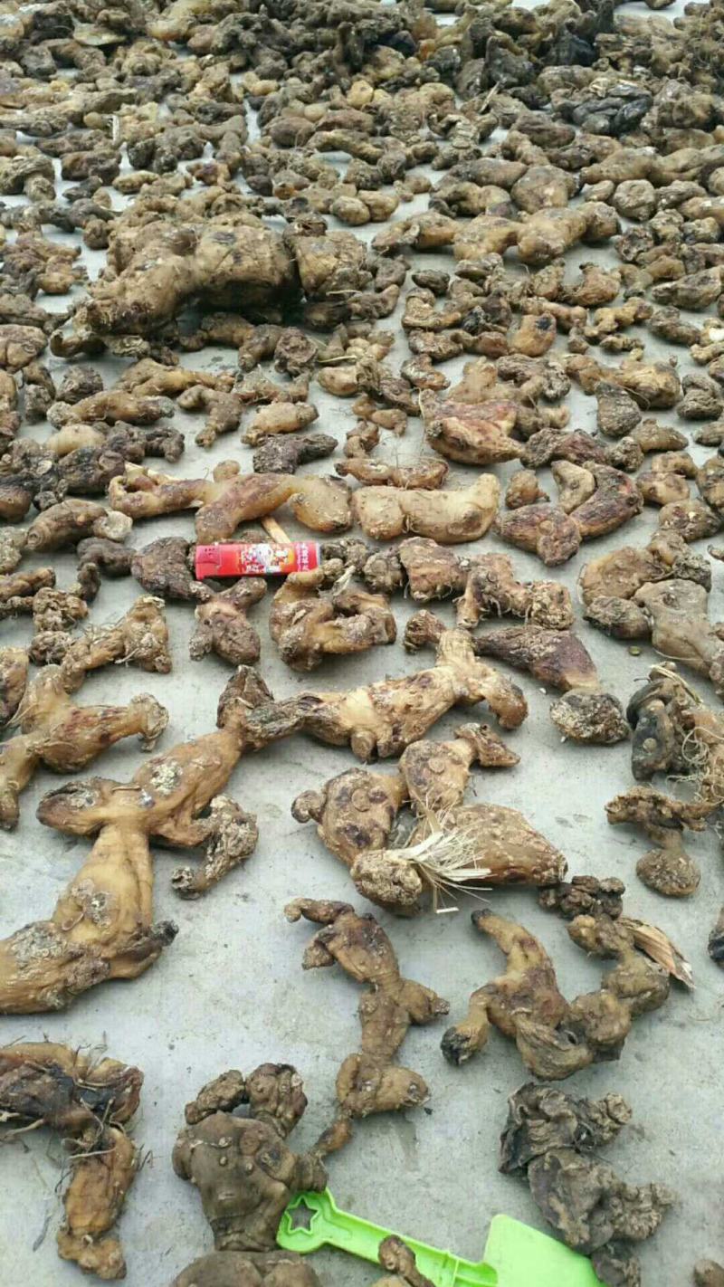 特级云南滇黄精