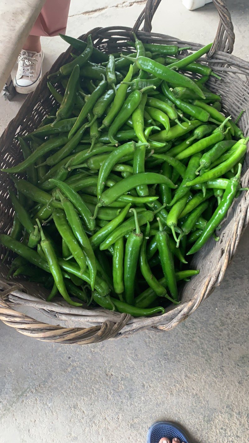 尖椒精品和酱菜厂里面的价格美丽，