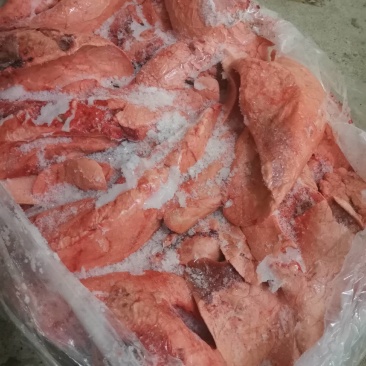 食用级饲料级猪肺品质好