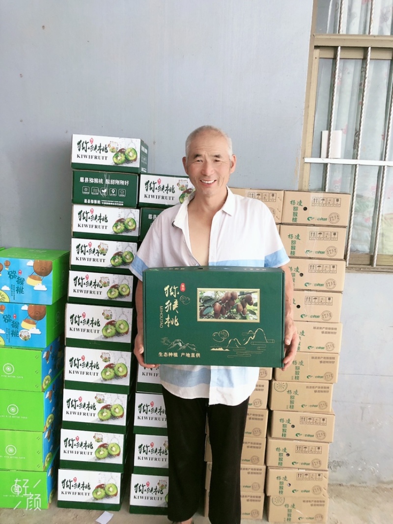 陕西秦岭北麓眉县猕猴桃酸甜刚刚好，一件代发