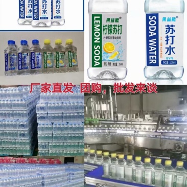 乐虎、汽水、冰红茶、加多宝等饮料初元牛奶、中老年无蔗糖