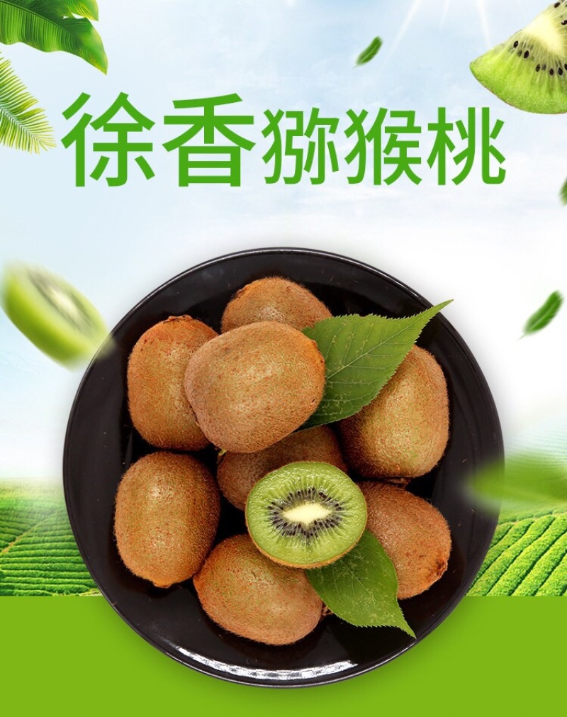 陕西秦岭北麓眉县猕猴桃酸甜刚刚好，一件代发