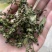 青花椒一手货源，量大从优，产地直销欢迎各位老板来买