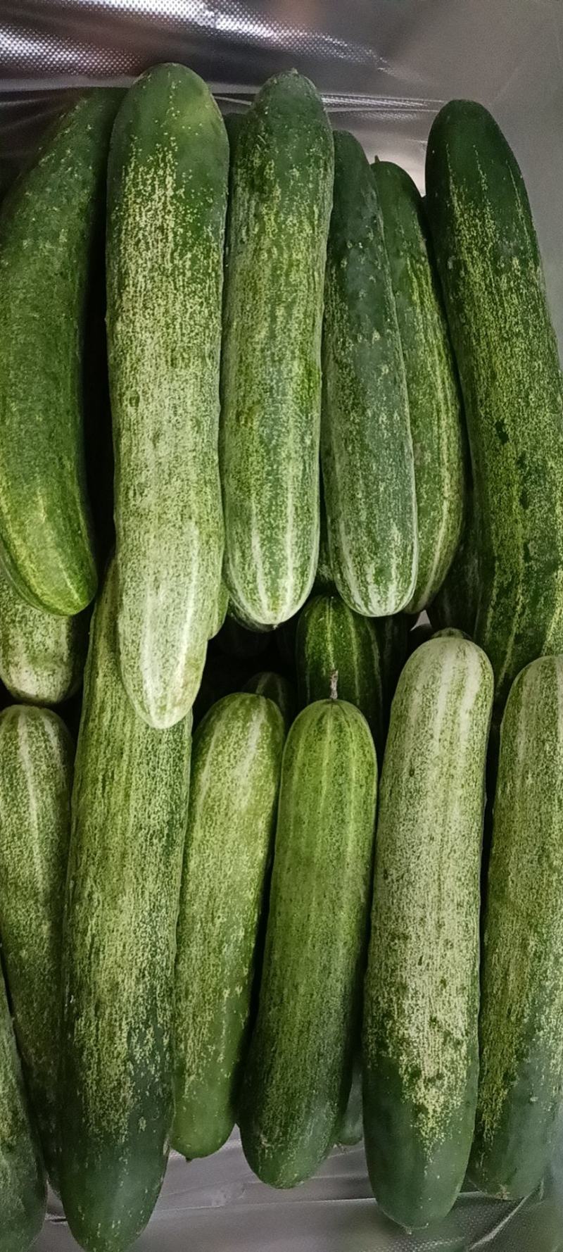 货源充足