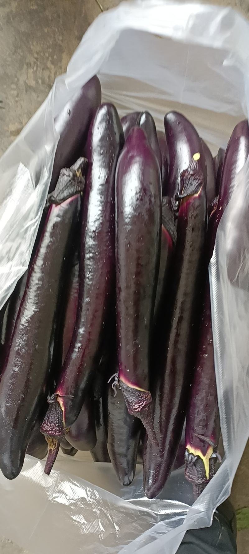 货源充足