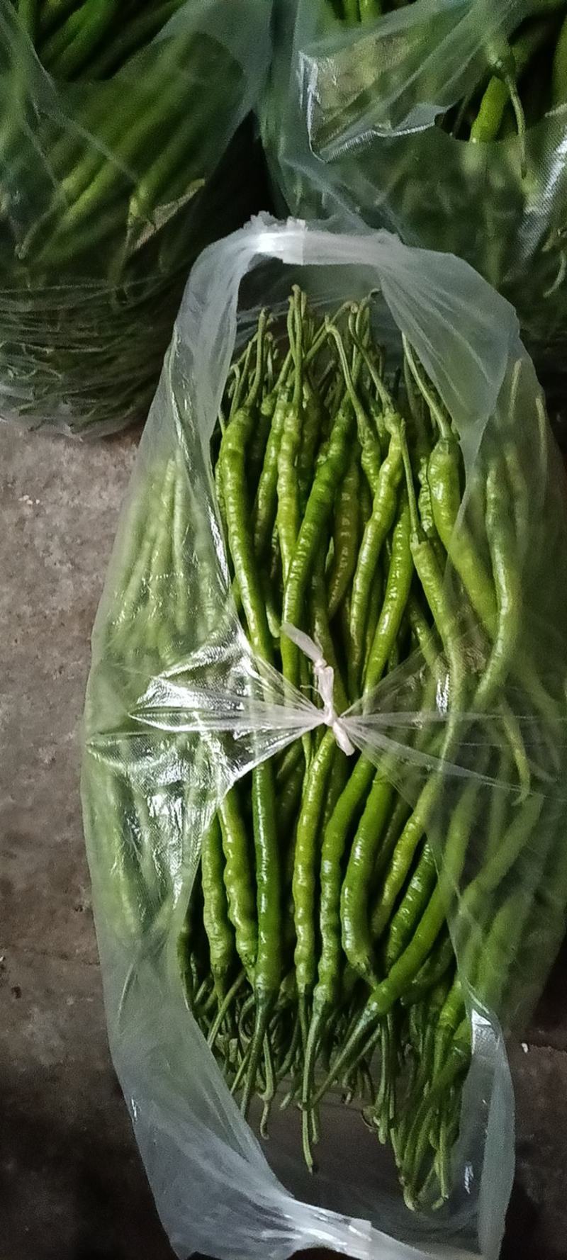 货源充足
