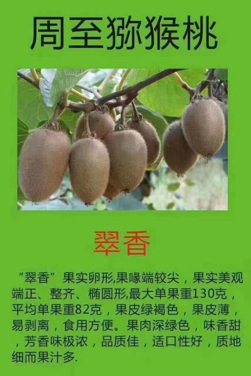猕胡桃