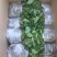 红颜草莓苗基地直销品种纯正甜宝草莓苗