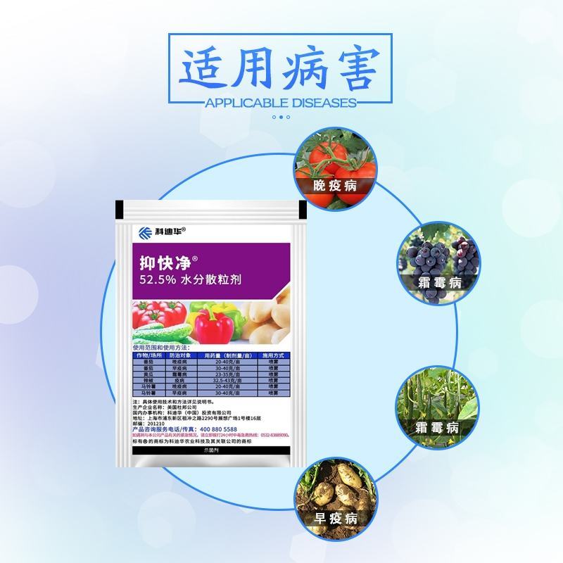 进口杜邦抑快净噁酮·霜脲氰52.5%霜霉病早疫病杀菌剂
