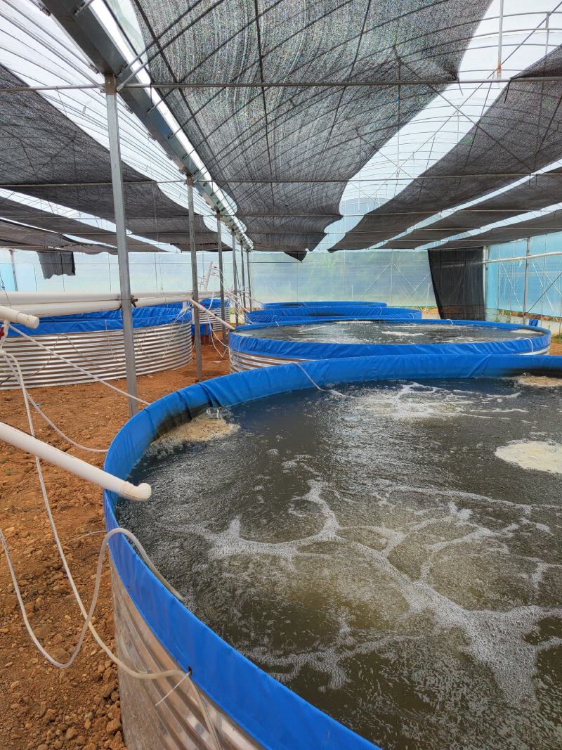 圆形铁桶镀锌板帆布鱼池水产养殖帆布水池高密度养鱼帆布