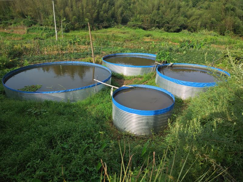 圆形铁桶镀锌板帆布鱼池水产养殖帆布水池高密度养鱼帆布