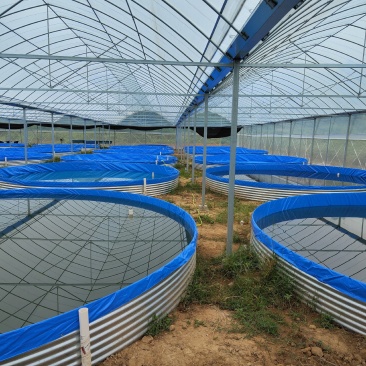 圆形铁桶镀锌板帆布鱼池水产养殖帆布水池高密度养鱼帆布