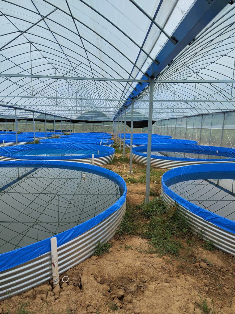圆形铁桶镀锌板帆布鱼池水产养殖帆布水池高密度养鱼帆布