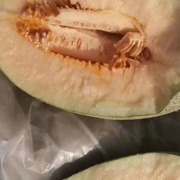 大棚哈蜜瓜晓蜜25口感脆甜水分足糖度高有网套纸箱托盘接电商