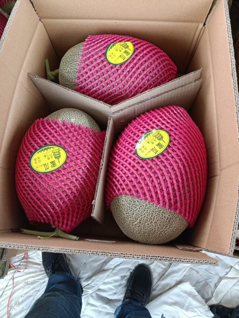 【热卖甘肃西州蜜】大量上市，质量杠杠滴，通过一亩田联系我