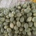 【热卖甘肃西州蜜】大量上市，质量杠杠滴，通过一亩田联系我