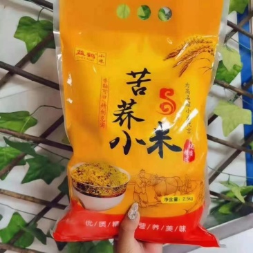 苦荞小米