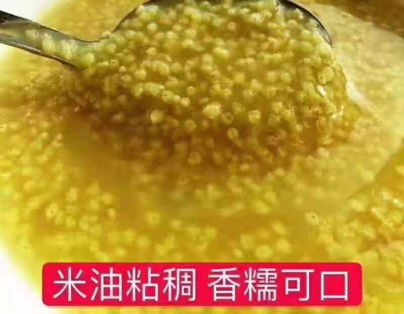 苦荞小米
