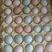 京山散养土鸡蛋，初生蛋，粉壳绿壳蛋大量供应品质保证