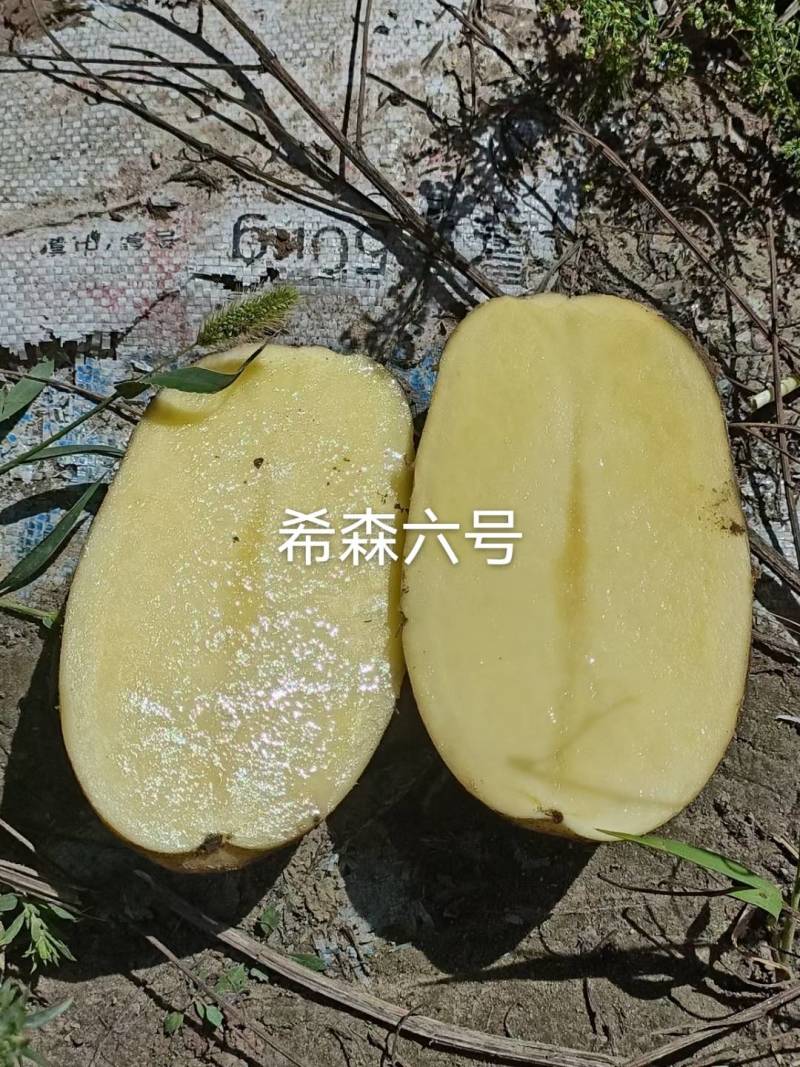 白皮黄心土豆希森六号，口感不错