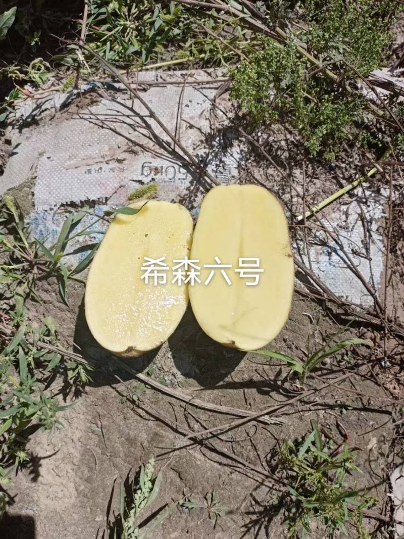 白皮黄心土豆希森六号，口感不错