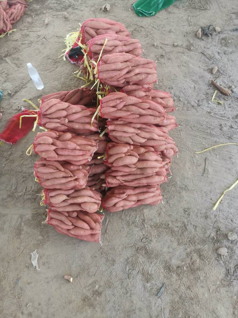 【荐】红薯本产地批发各种红薯，可选各种规格包装