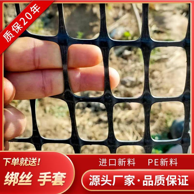 加厚黑色塑料网养鸡鸭网圈玉米网果园圈地围栏黑胶漏粪网土工