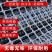 加厚黑色塑料网养鸡鸭网圈玉米网果园圈地围栏黑胶漏粪网土工